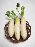 White Radish or Daikon isolated in white background photo