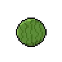 round watermelon in pixel art style vector