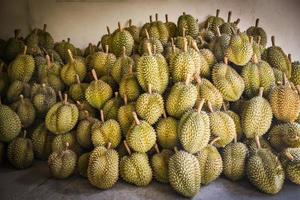 Durian tropical fruit for sale in the market on summer - Thai fruit export photo