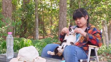 asiatisk flicka Sammanträde med tricolor katt video