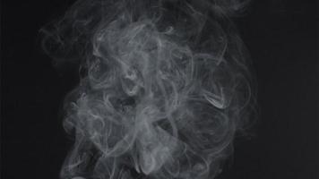 Slow motion of white smoke, fog, mist, vapor on a black background. video