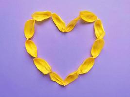 Heart made of yellow tulip petals on purple background, top view photo