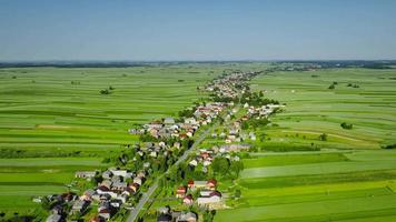 antenne visie van decoratief ornamenten van verschillend groen velden en huizen video