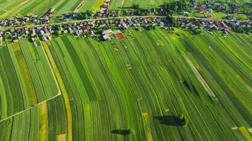 Aerial view of decorative ornaments of diverse green fields and houses video