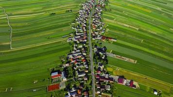 aérien vue de décoratif ornements de diverse vert des champs et Maisons video