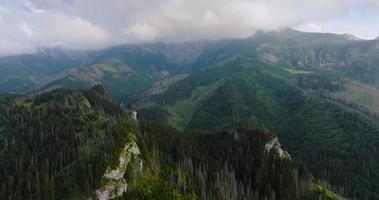 hermosa montaña paisaje en verano, nublado cielo, bosque y rocas zakopane video