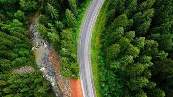 Top down view of cars driving along the road among the coniferous forest video