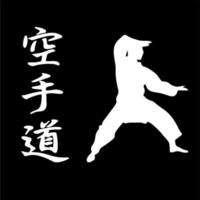 logos and symbols about karate vector