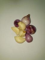 Group photo portrait of shallots and garlic as staple ingredients for cooking in Indonesia.