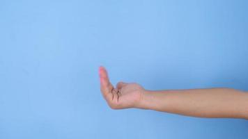 Female hands making gesture Come closer on pastel blue background in studio. Pack of Gestures movements and body language. video