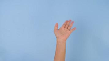 weiblich Hand winken Gruß oder Auf Wiedersehen Geste isoliert auf Blau Studio Hintergrund. Pack von Gesten Bewegungen und Körper Sprache. video