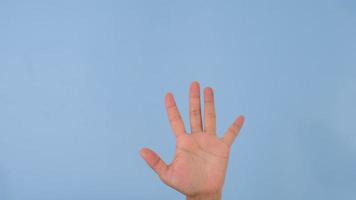 weiblich Hände Herstellung stoppen, Ablehnung, Warnung und Verteidigung Gesten auf Pastell- Blau Hintergrund im Studio. Pack von Gesten Bewegungen und Körper Sprache. video