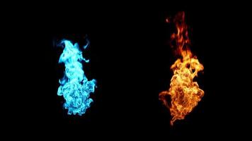 Blau Feuer Flammen geloopt Fackel entzündet Verbrennung. echt Flammen entzündet auf ein schwarz Hintergrund. echt Feuer. video