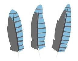 Set of blue jay feathers in flat style. vector