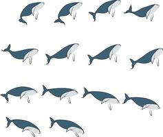 THE WHALE ILLUSTRATION vector