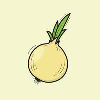 Illustration of Onion Vector Drawing