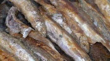 fermer vue de cuisine friture capelan poisson dans le fer poêle. grillé capelan poisson - traditionnel asiatique cuisine où tout poisson, de tête à queue, des os et chevreuil pouvez être apprécié comme un apéritif ou garnir. video