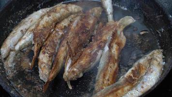 Close-up view of cooker stirs roasted caplin fish with wooden spatula. Broiled fish - tasty delicious Asian food as an appetizer or garnish. Cooking frying and stirring capelin fish fried in iron pan video