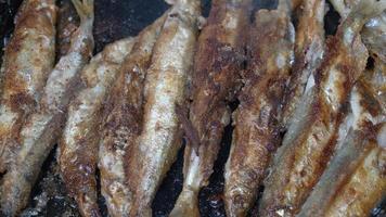 vue de cuisine friture capelan poisson dans le fer poêle. grillé capelan poisson - populaire coréen cuisine où tout petit poisson, de tête à queue, chevreuil et des os pouvez être apprécié comme un apéritif ou garnir. video