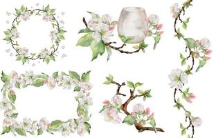 Hand drawn watercolor set with frames, wreaths and compositions. Apple fruit, flowers, leaves, branches. Isolated object on white background. Design for wall art, wedding, print, fabric, cover, card. vector