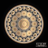 Clean luxury mandala design template vector