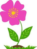 Stylized pink flower highlighted on a white background. Vector flower in cartoon style.Vector illustration for greetings, weddings, flower design.