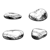 Pebbles, stones of various shapes. Black and white hand-drawn illustration in graphic technique. Isolated, vector objects from the NAUTICAL GRAPHICS collection. For decoration and design.