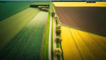 generativo ai, granja paisaje, agrícola campos, hermosa campo, país la carretera. naturaleza ilustración, fotorrealista parte superior ver zumbido, horizontal bandera. foto