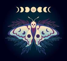 ilustración con halcón polilla con etapas de el Luna vector