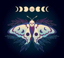 Illustration with hawk moth with phases of the moon vector