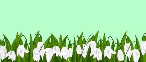 Snowdrops isolated on green background. Spring time vector