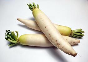 blanco rábano o daikon aislado en blanco antecedentes foto