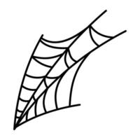 Trendy Spider Net vector