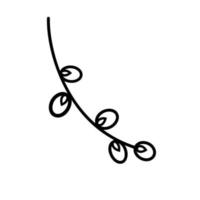 Linear willow twig in doodle style vector