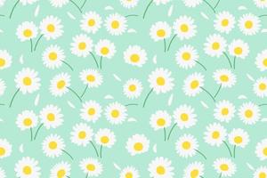 Seamless pattern with daisy flower and on background vector illustration.