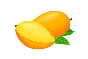 Fresco mango tropical Fruta con verde hoja aislado en blanco antecedentes. vector eps 10 Perfecto para fondo de pantalla o diseño elementos