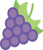 grapes vector illustration on a background.Premium quality symbols.vector icons for concept and graphic design.