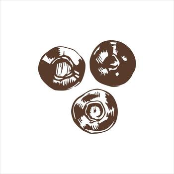 vector mano dibujado botánico ilustración de arándano. bosquejo de bosque bayas en grabado estilo.vintage ilustración.