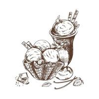 A hand-drawn sketch of  ice cream balls in a waffle basket and ice cream in a cup.Vintage illustration. Element for the design of labels, packaging and postcards. vector