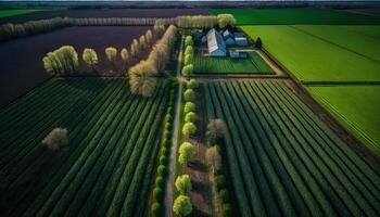 generativo ai, granja paisaje, agrícola campos, hermosa campo, país la carretera. naturaleza ilustración, fotorrealista parte superior ver zumbido, horizontal bandera. foto