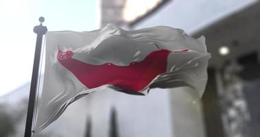 Ostern Insel Rapa nui National Flagge winken auf verschwommen Hintergrund video