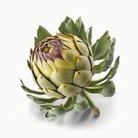 , Artichoke isolated on white background, macro photorealistic illustration, agricultural vegetable. Nature organic healthy farm food concept. photo