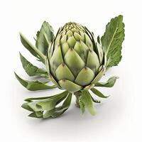 , Artichoke isolated on white background, macro photorealistic illustration, agricultural vegetable. Nature organic healthy farm food concept. photo