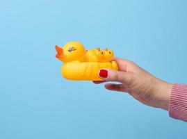 A woman's hand holds a yellow rubber duck on a blue background, a bath toy photo