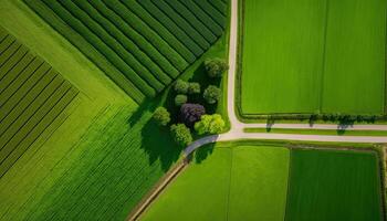 , Farm landscape, agricultural fields, beautiful countryside, country road. Nature Illustration, photorealistic top view drone, horizontal banner. photo