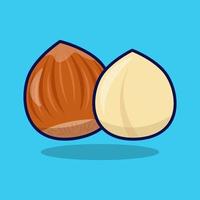 Hazelnut vector icon illustration. Hazelnut icon concept isolated. Flat design