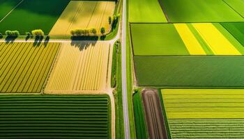 , Farm landscape, agricultural fields, beautiful countryside, country road. Nature Illustration, photorealistic top view drone, horizontal banner. photo