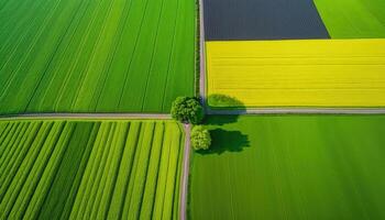 generativo ai, granja paisaje, agrícola campos, hermosa campo, país la carretera. naturaleza ilustración, fotorrealista parte superior ver zumbido, horizontal bandera. foto