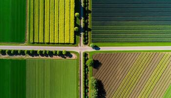 , Farm landscape, agricultural fields, beautiful countryside, country road. Nature Illustration, photorealistic top view drone, horizontal banner. photo