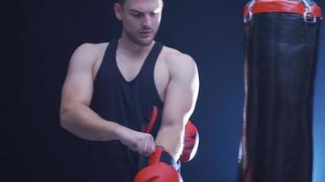 professionell boxare bär handskar och stryk stansning väska. porträtt av manlig boxare stryk stansning väska i mörk Gym. sporter Träning. video